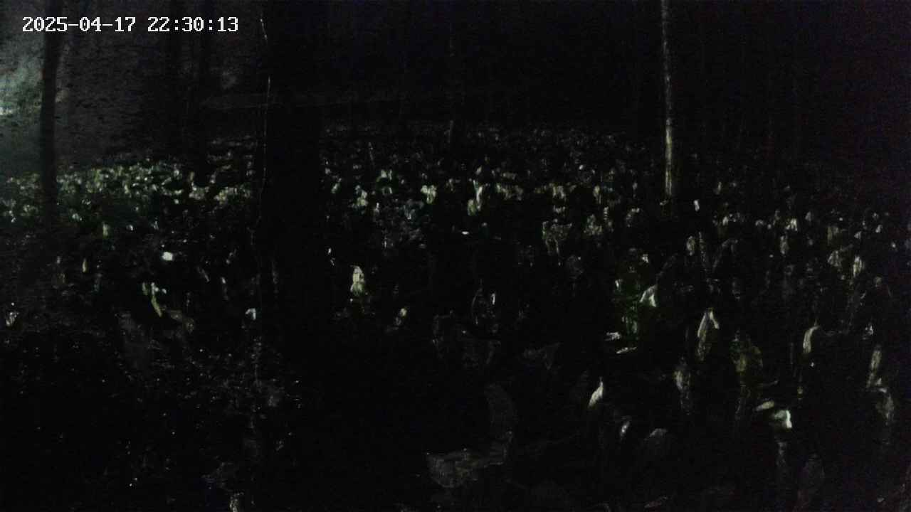 mizubasho1-20250417223015.jpg