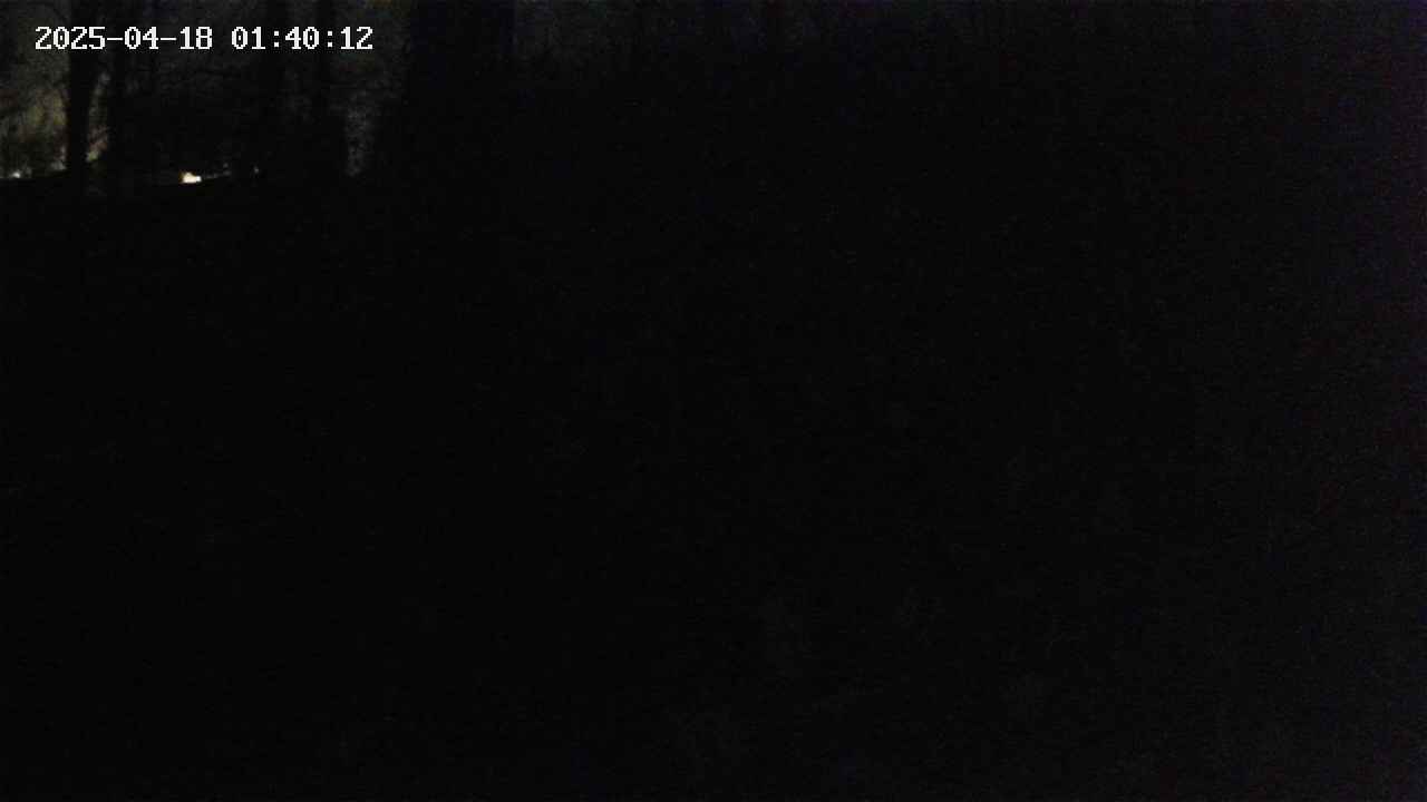 mizubasho1-20250418014014.jpg