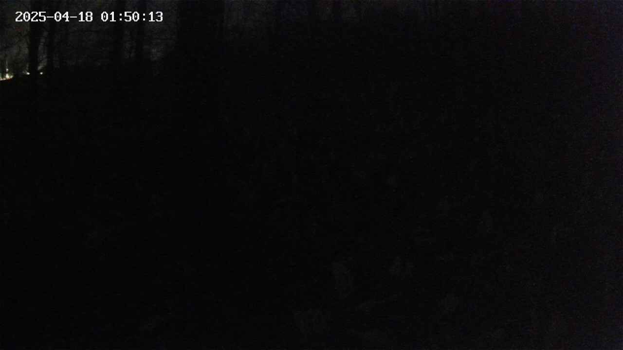 mizubasho1-20250418015014.jpg