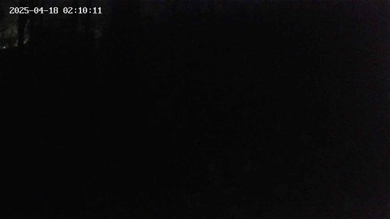 mizubasho1-20250418021013.jpg