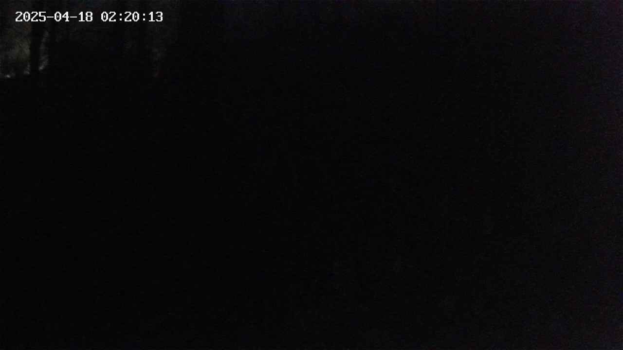 mizubasho1-20250418022014.jpg
