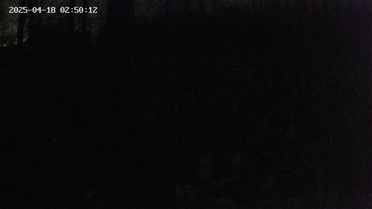 mizubasho1-20250418025013.jpg