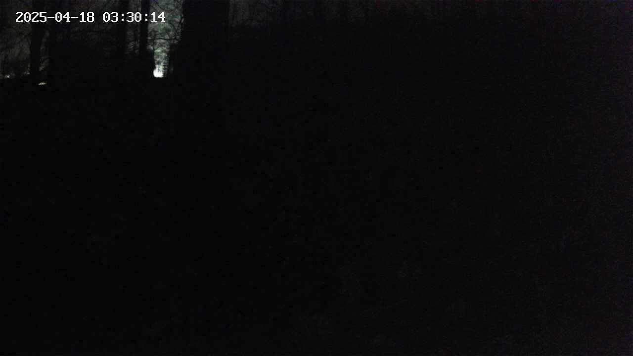mizubasho1-20250418033016.jpg