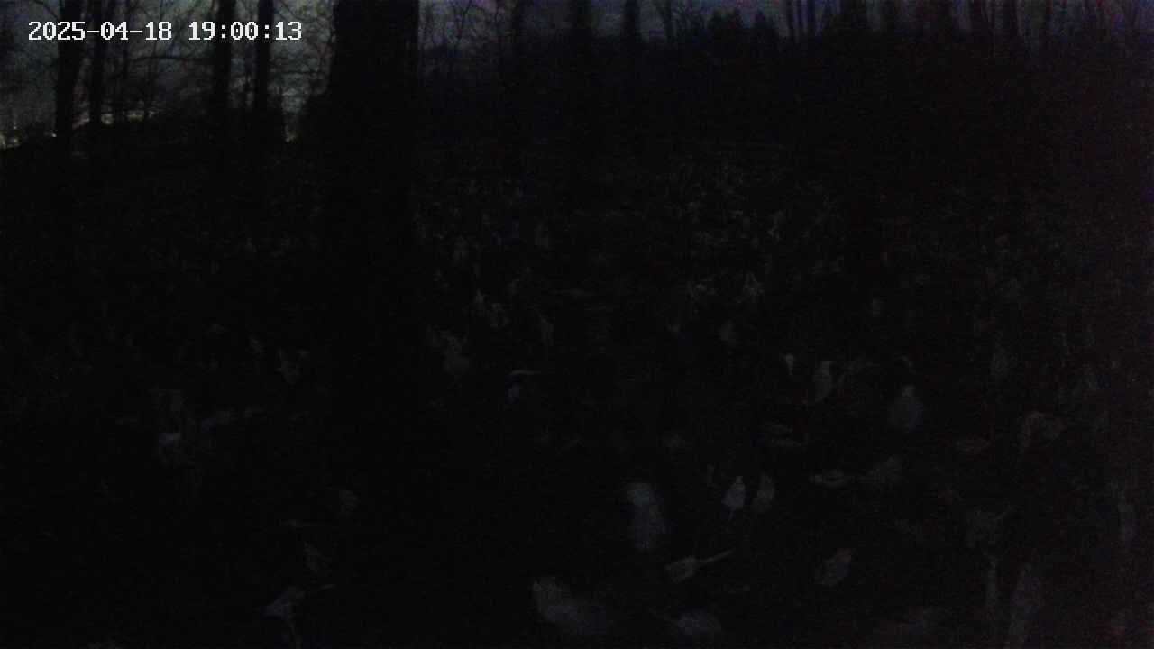 mizubasho1-20250418190014.jpg