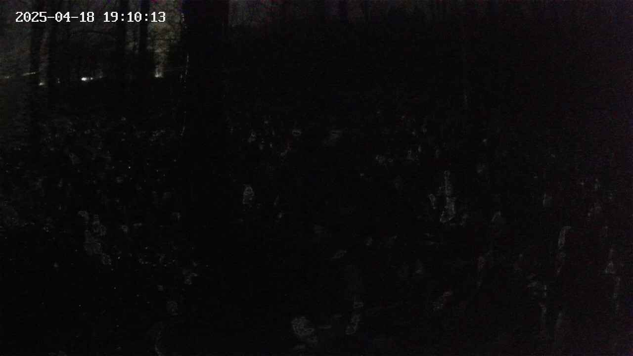 mizubasho1-20250418191014.jpg