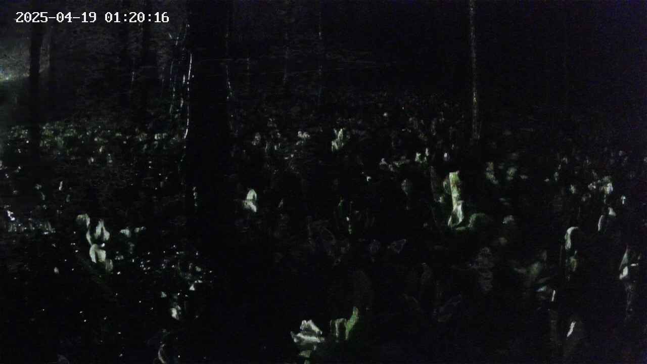 mizubasho1-20250419012016.jpg