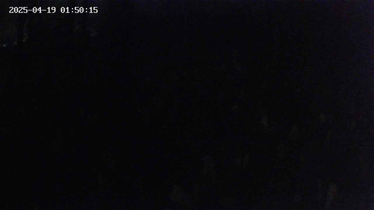 mizubasho1-20250419015016.jpg