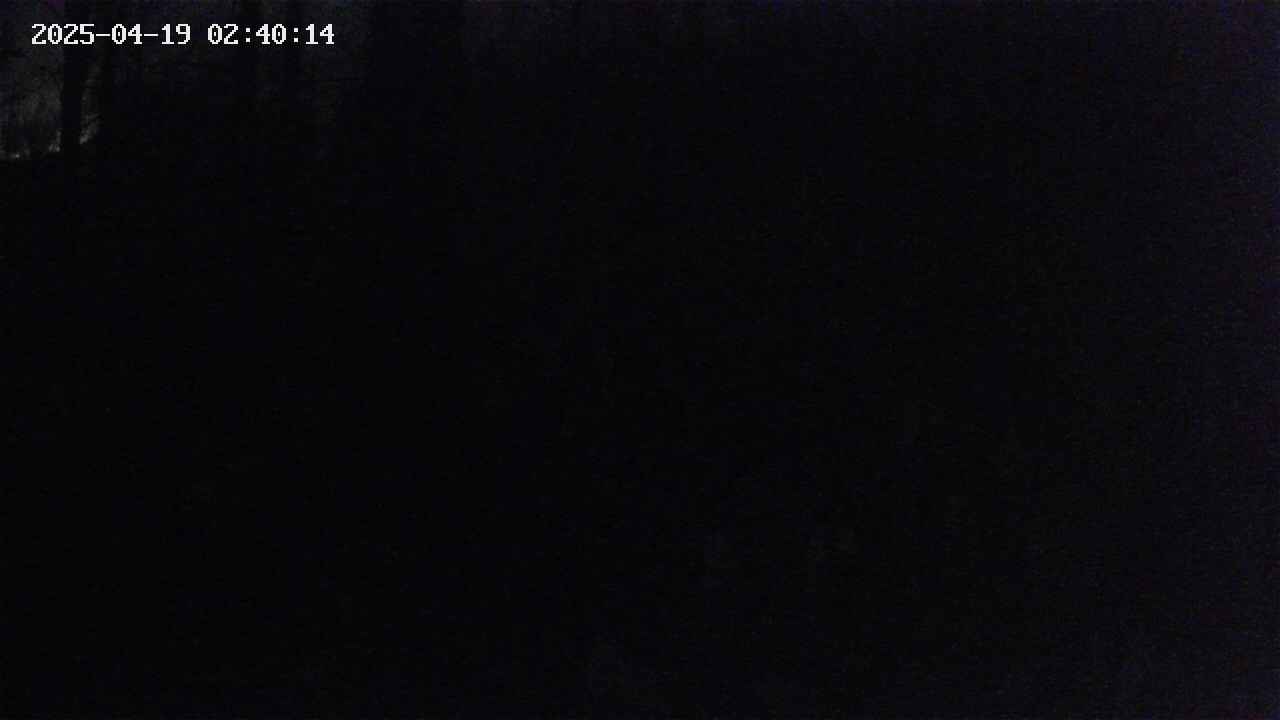 mizubasho1-20250419024015.jpg