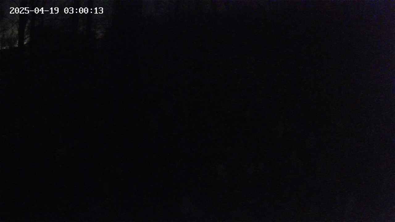 mizubasho1-20250419030014.jpg