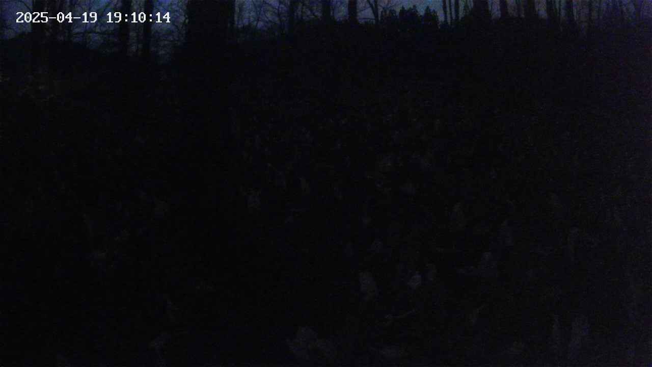 mizubasho1-20250419191015.jpg