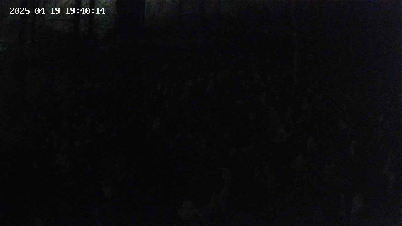 mizubasho1-20250419194016.jpg