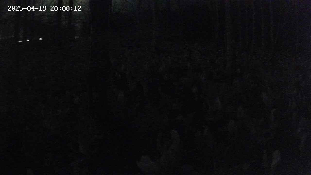mizubasho1-20250419200014.jpg