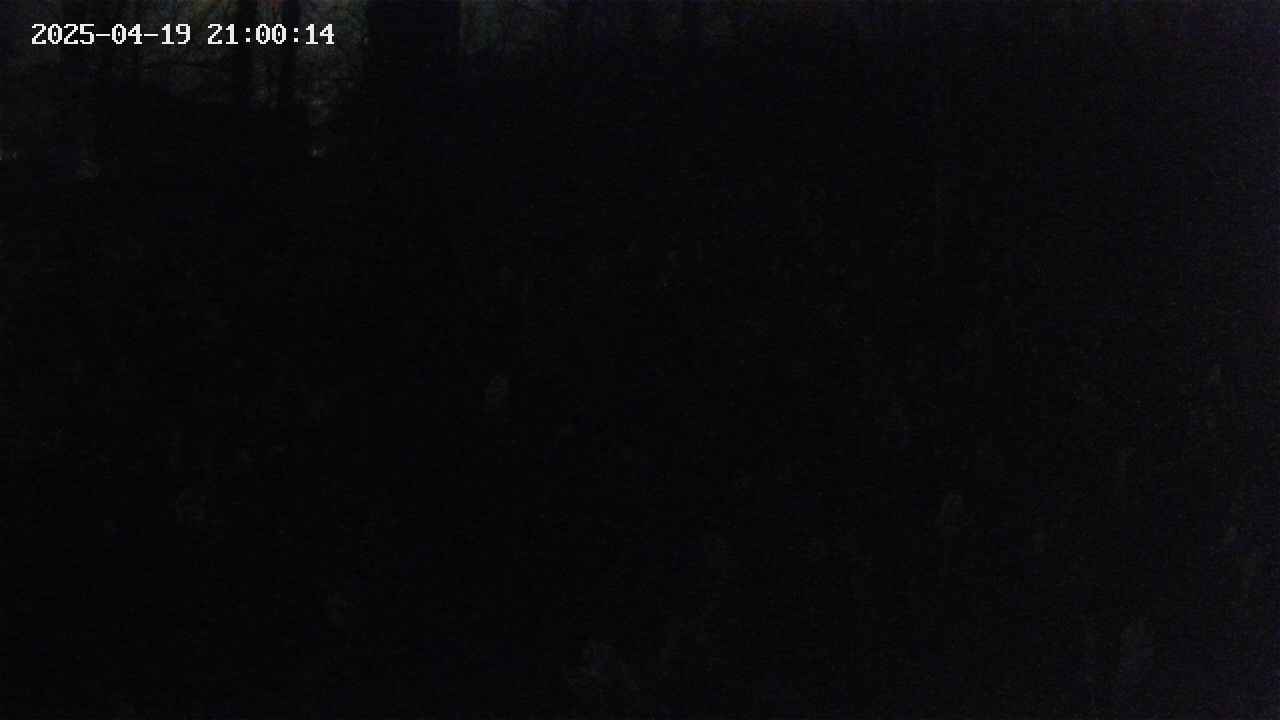 mizubasho1-20250419210015.jpg