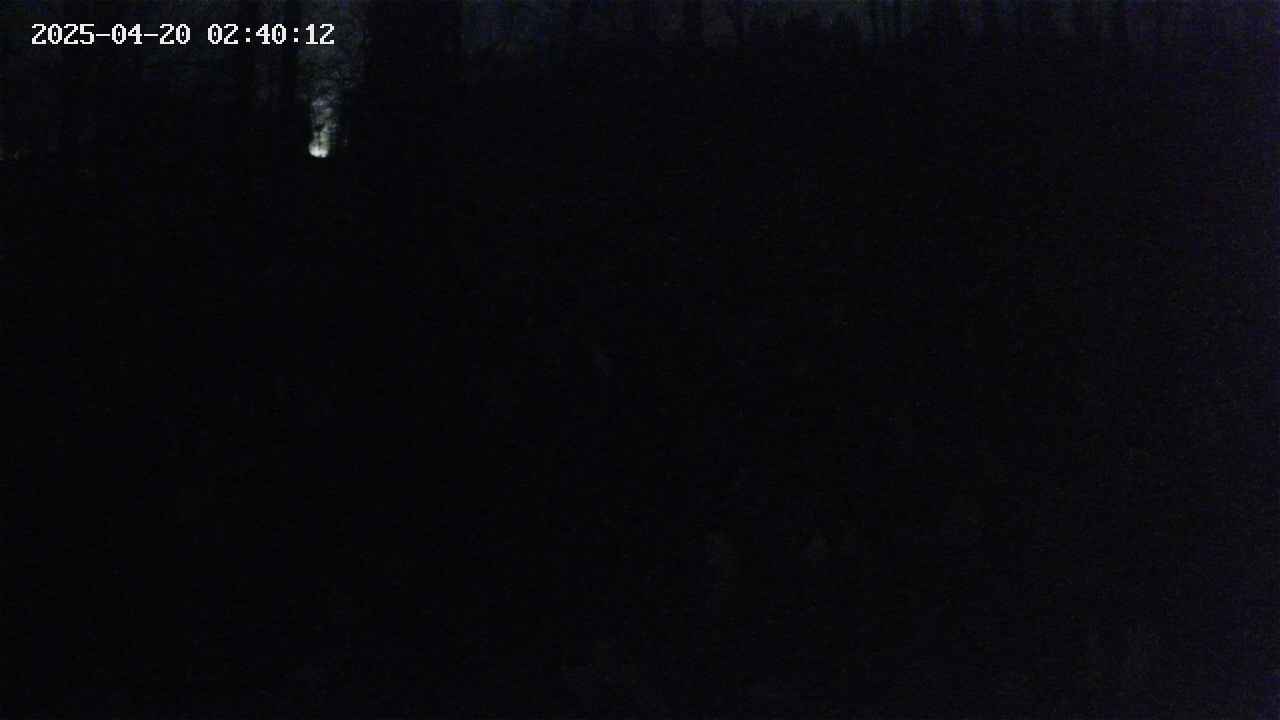 mizubasho1-20250420024014.jpg