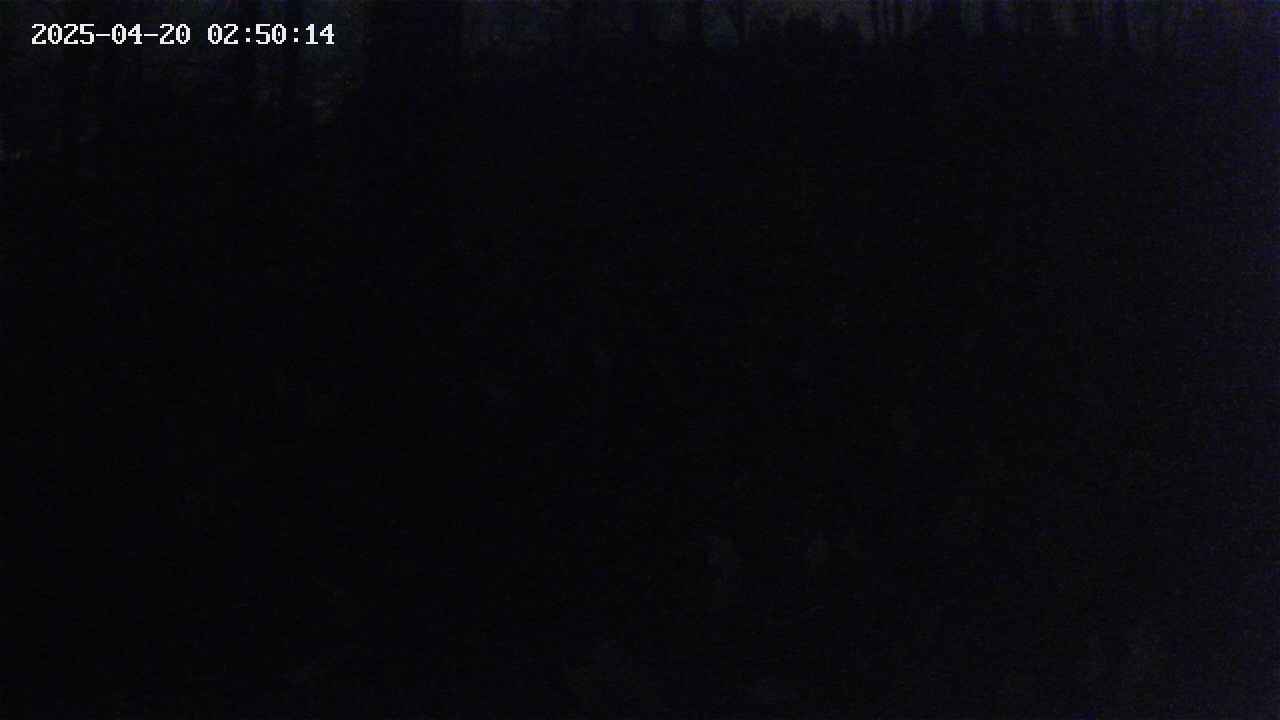 mizubasho1-20250420025015.jpg
