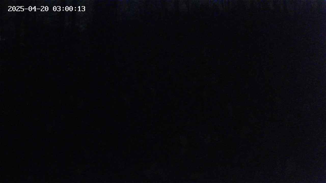 mizubasho1-20250420030014.jpg