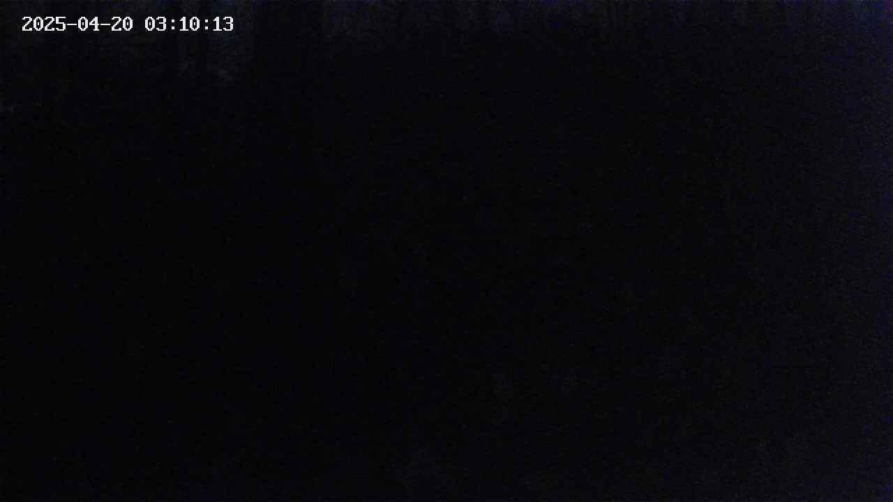 mizubasho1-20250420031014.jpg