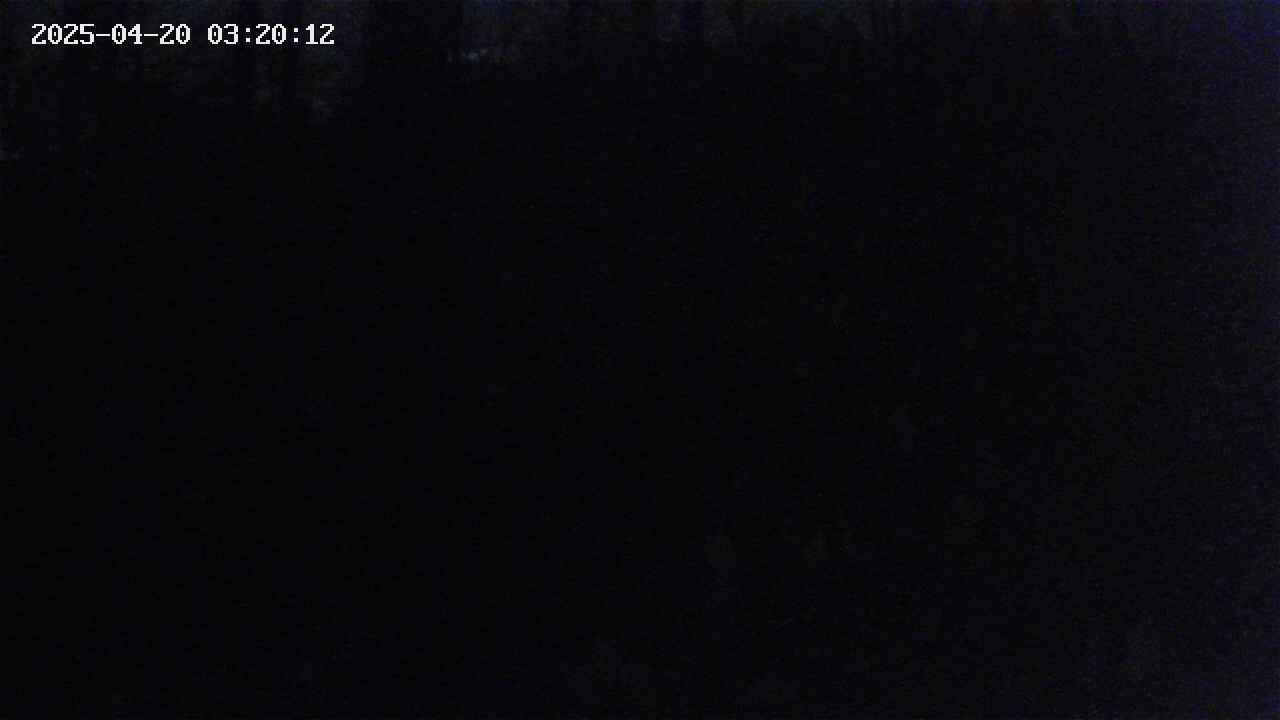 mizubasho1-20250420032014.jpg