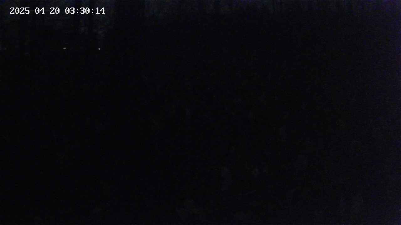 mizubasho1-20250420033015.jpg