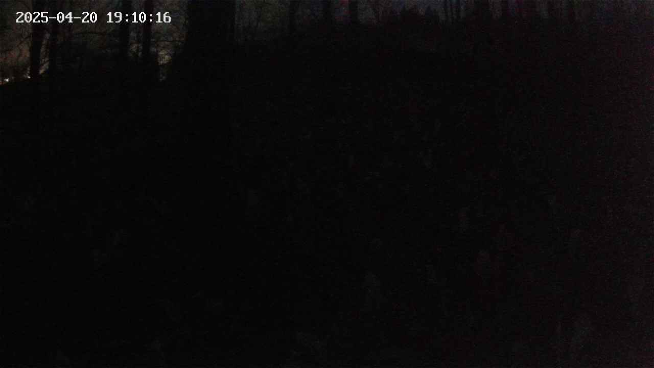 mizubasho1-20250420191018.jpg