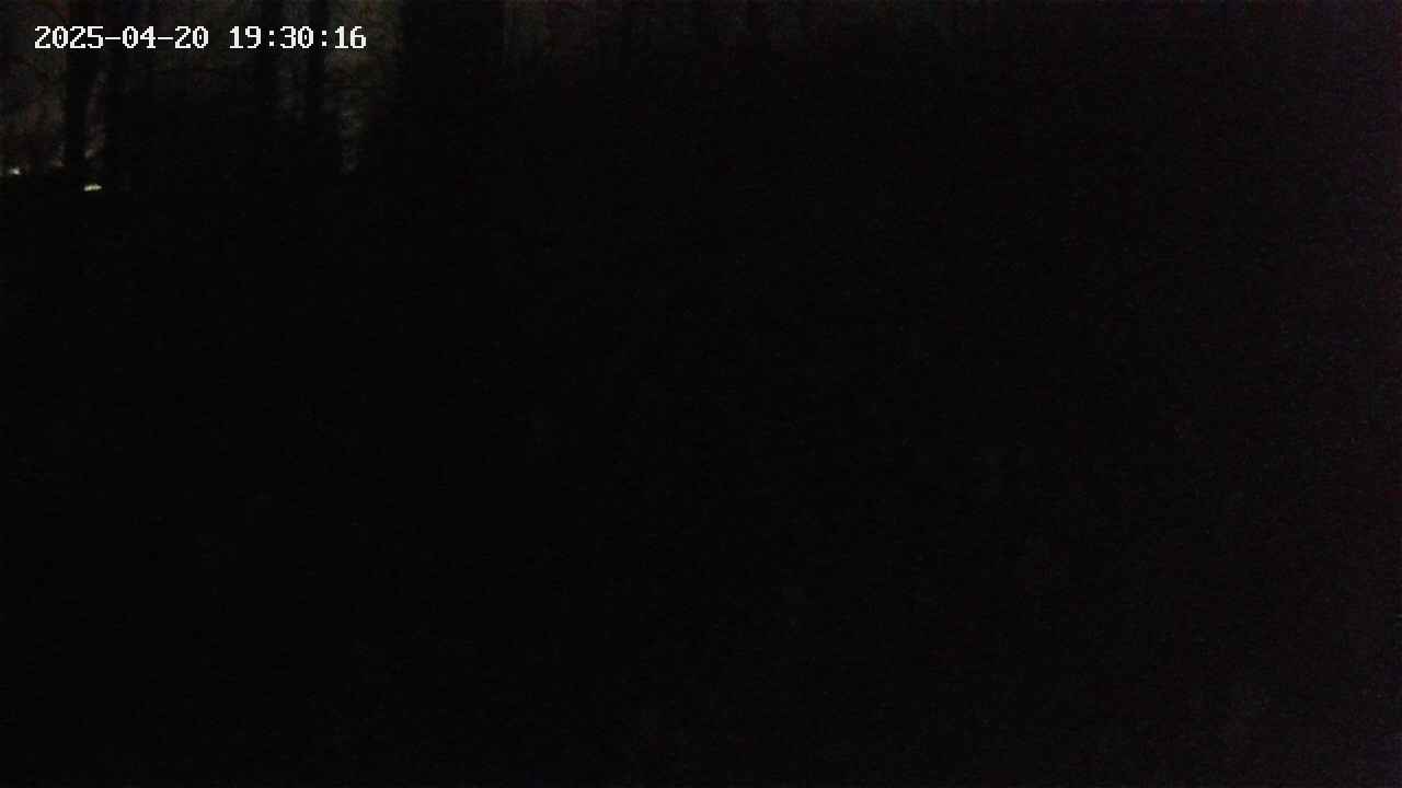 mizubasho1-20250420193017.jpg