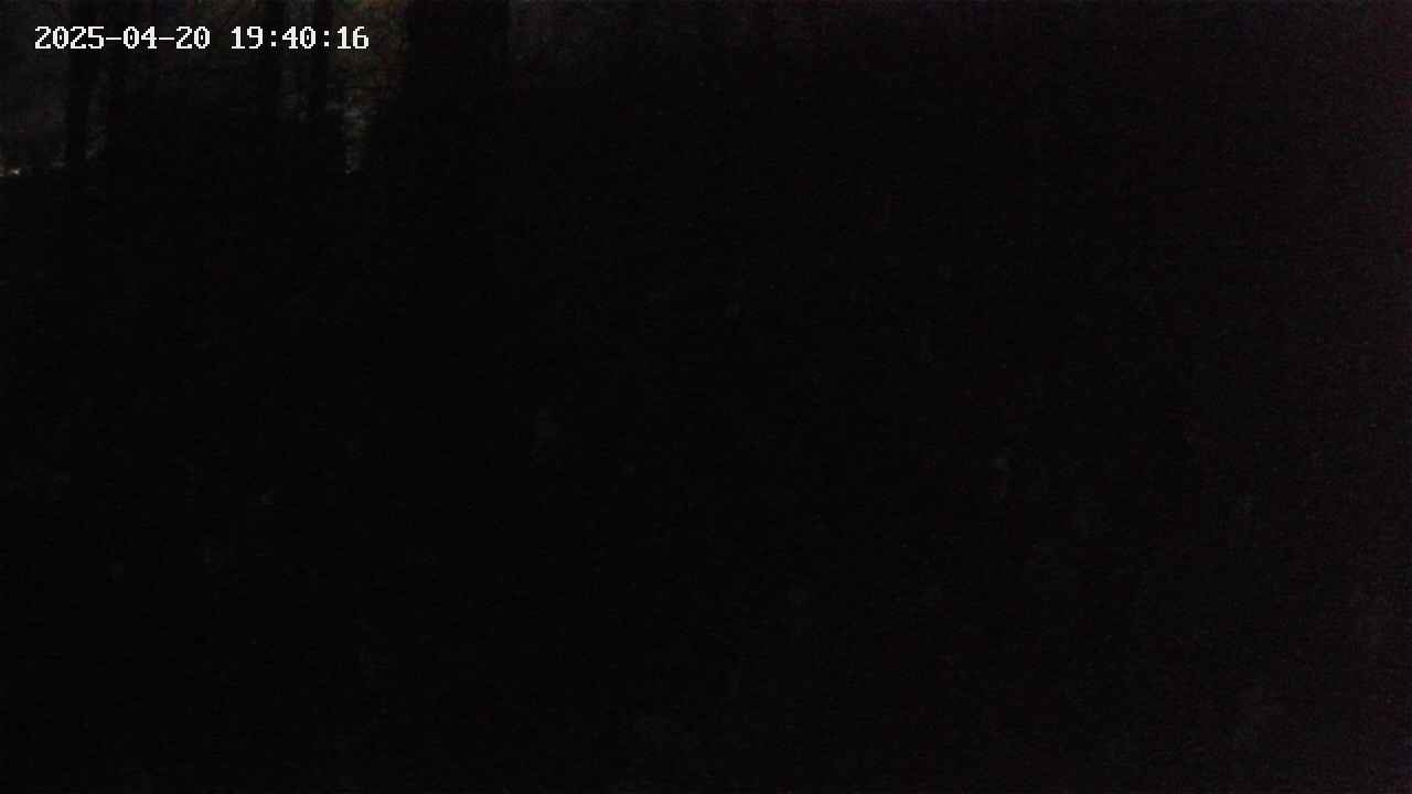 mizubasho1-20250420194017.jpg