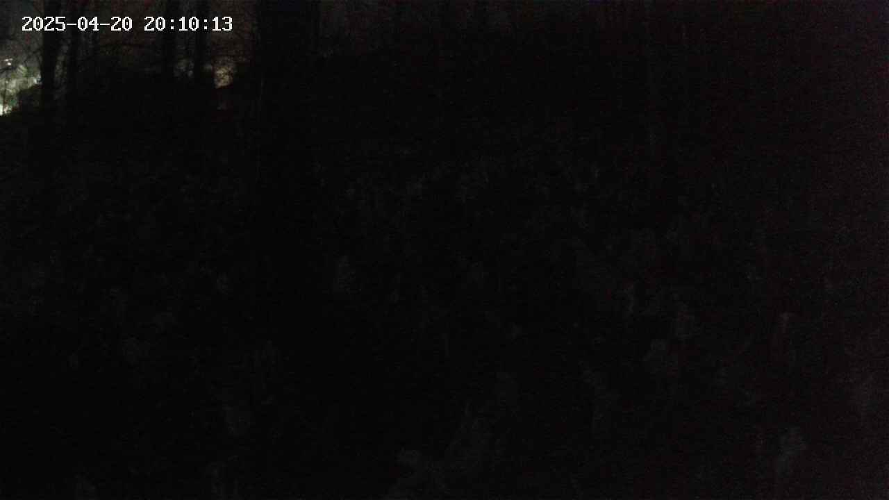 mizubasho1-20250420201014.jpg