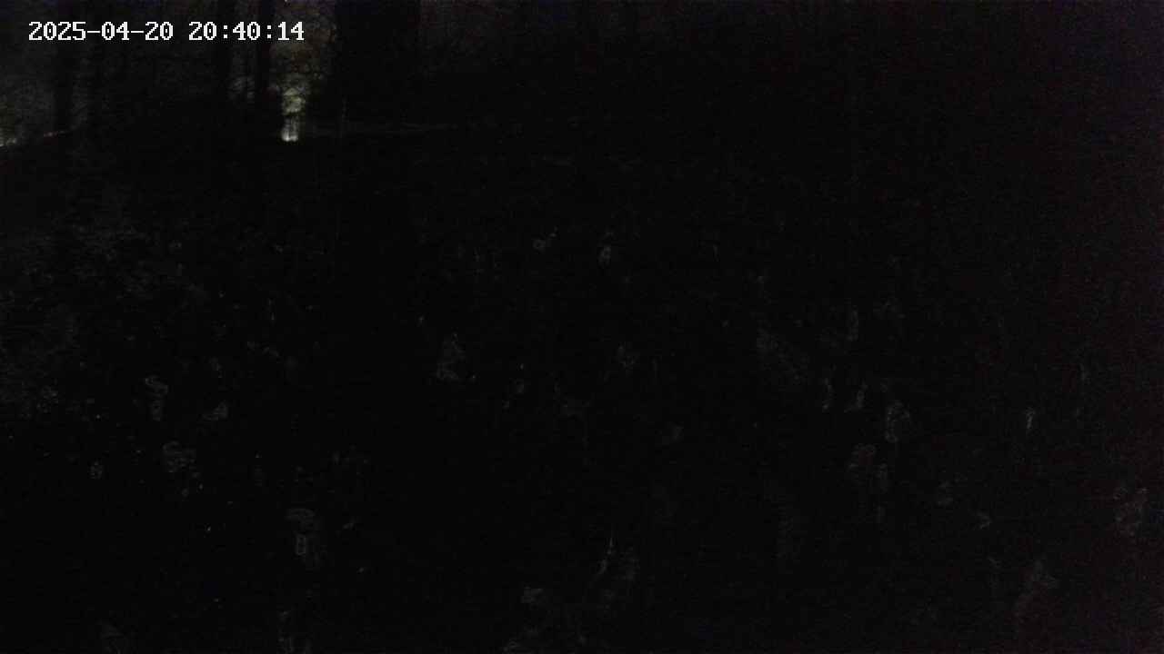 mizubasho1-20250420204015.jpg