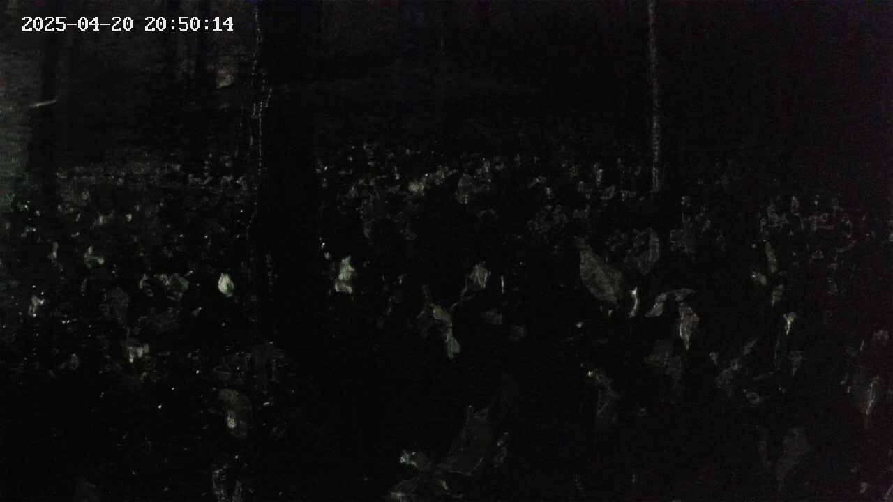 mizubasho1-20250420205016.jpg