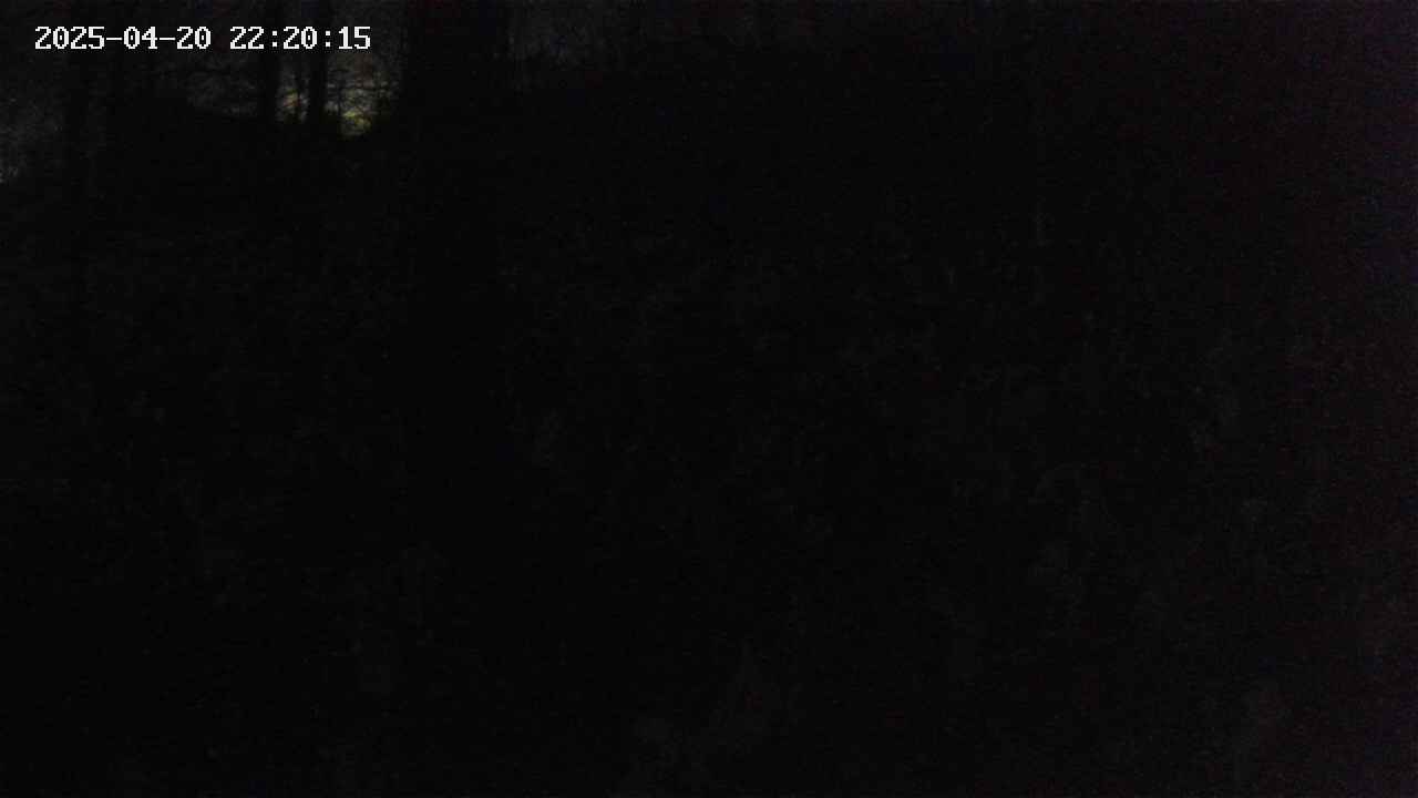 mizubasho1-20250420222016.jpg