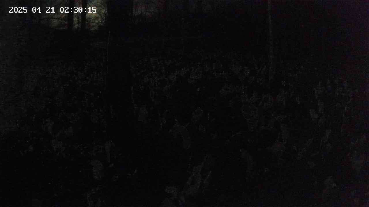 mizubasho1-20250421023016.jpg