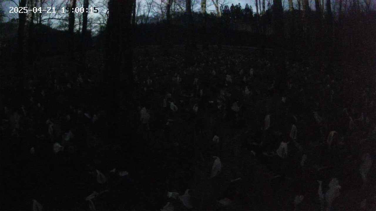 mizubasho1-20250421190016.jpg