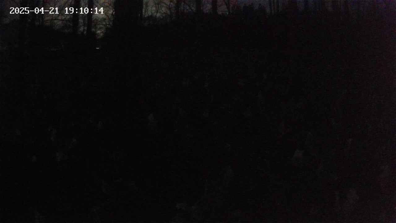 mizubasho1-20250421191015.jpg