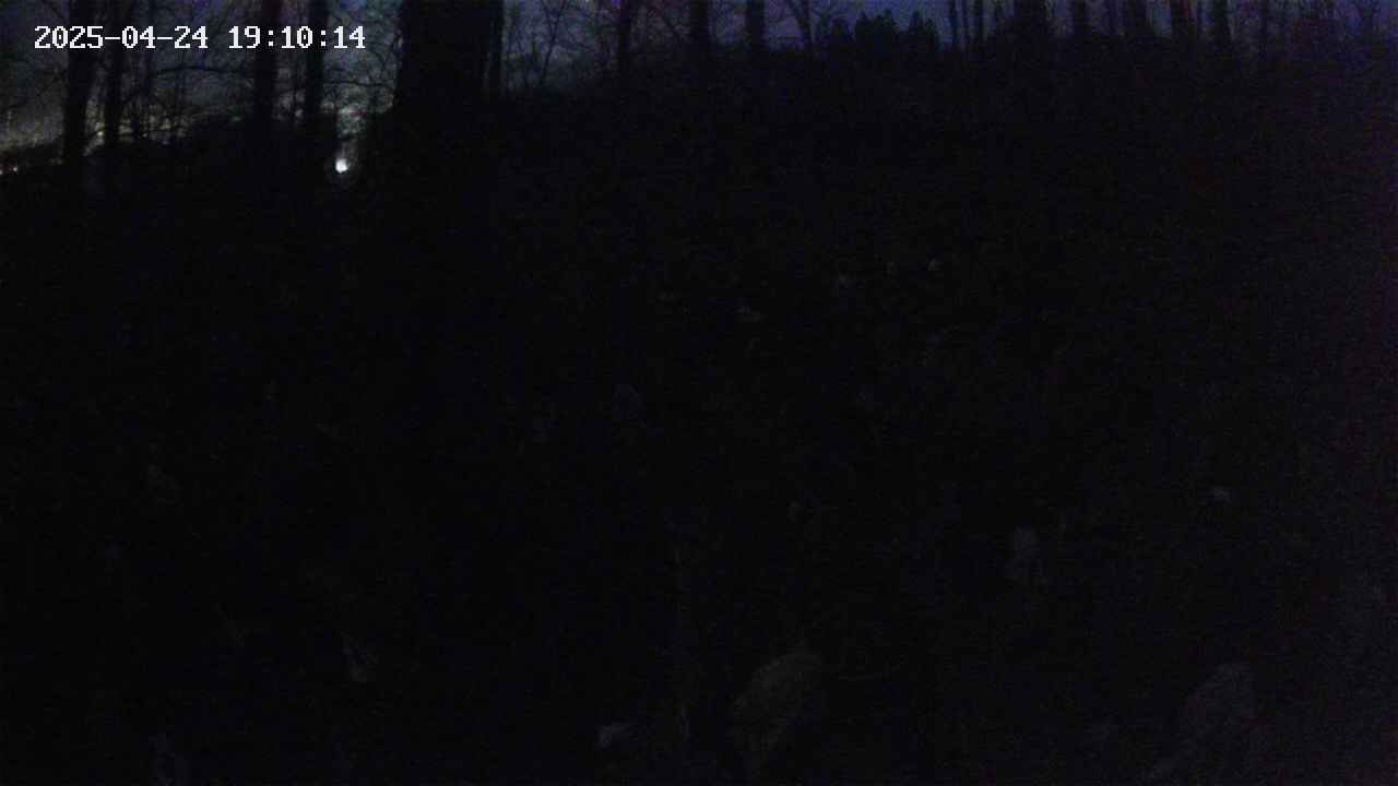 mizubasho1-20250424191015.jpg