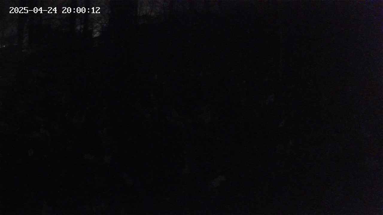 mizubasho1-20250424200012.jpg