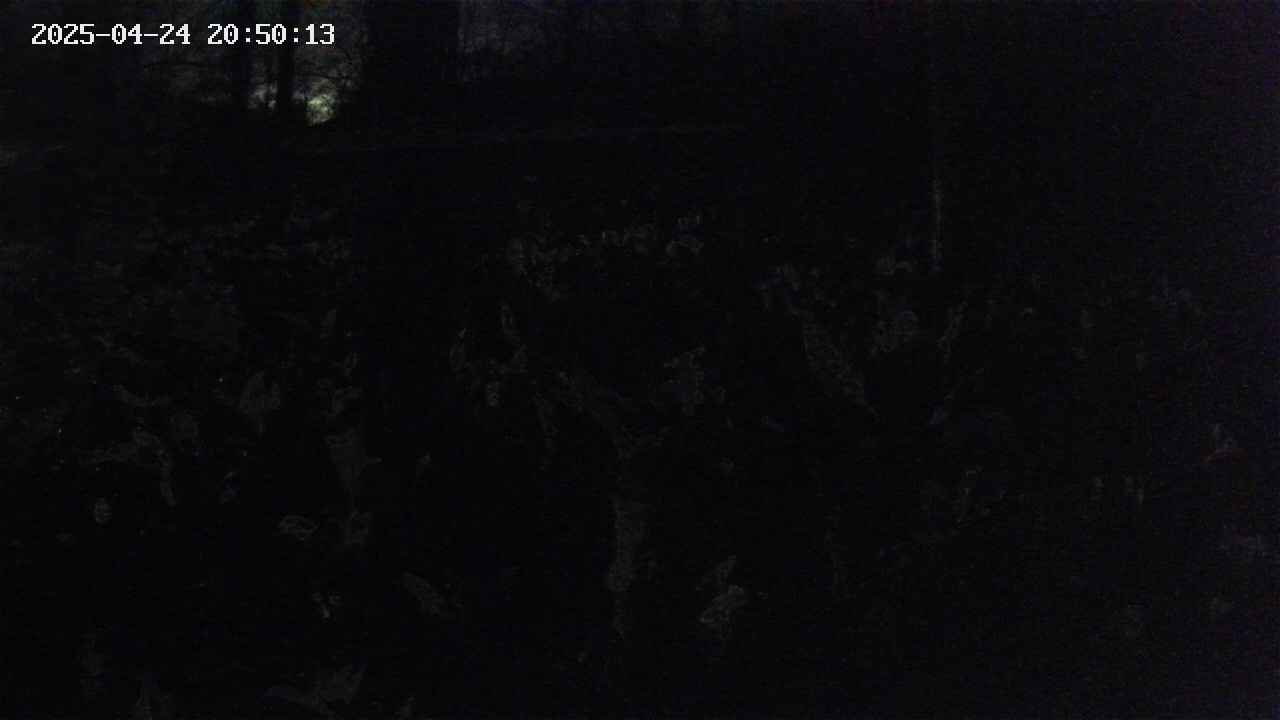 mizubasho1-20250424205014.jpg