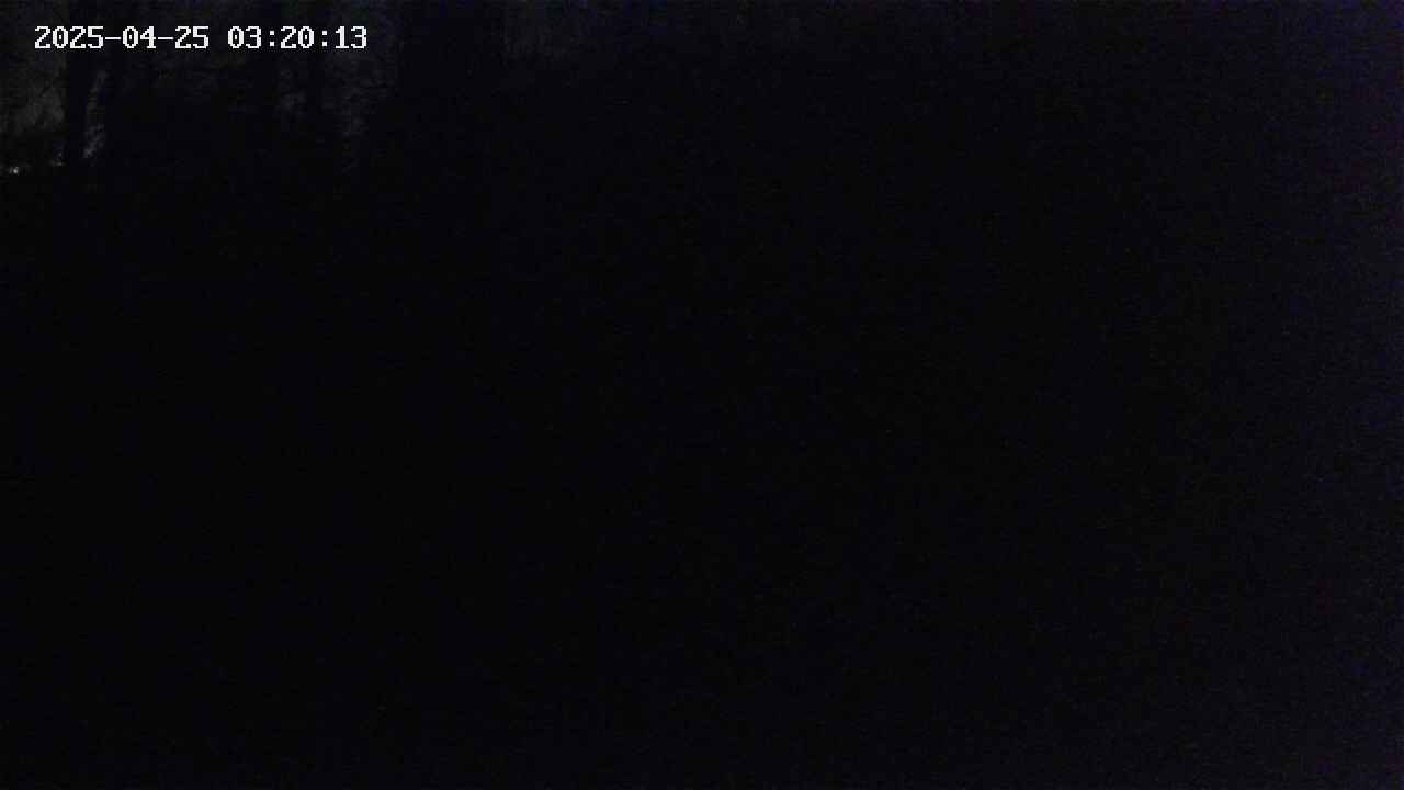 mizubasho1-20250425032013.jpg