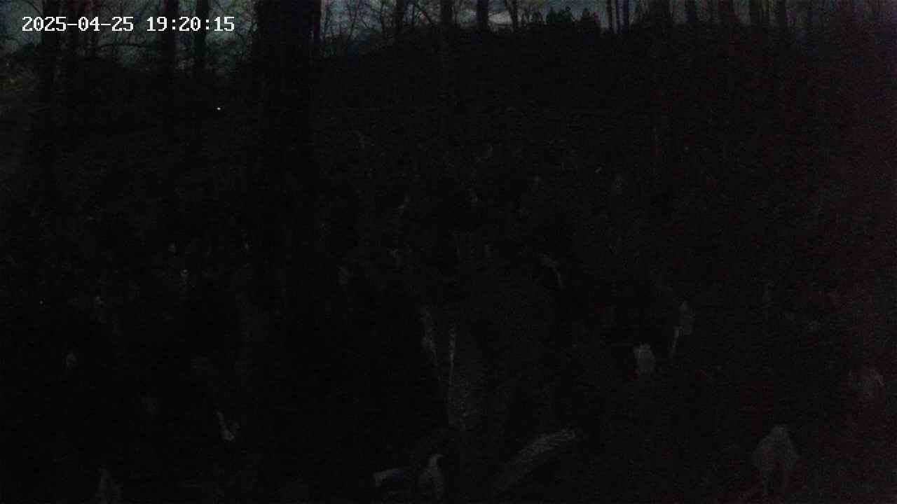 mizubasho1-20250425192016.jpg