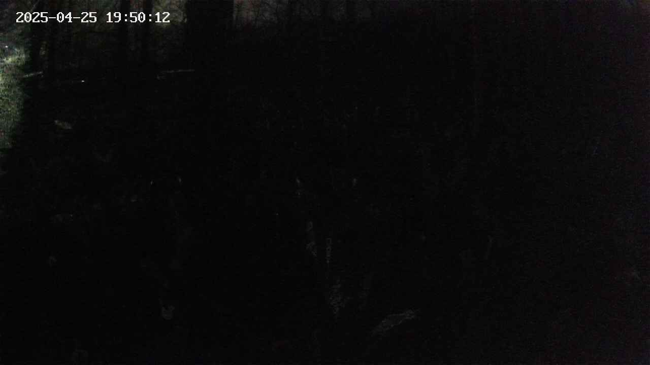 mizubasho1-20250425195013.jpg
