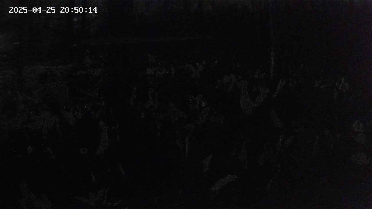 mizubasho1-20250425205015.jpg