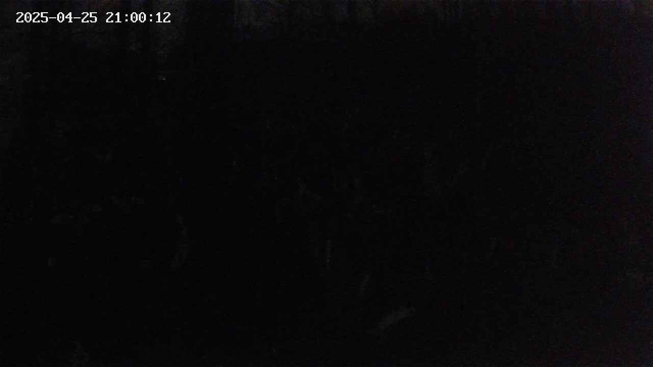 mizubasho1-20250425210012.jpg