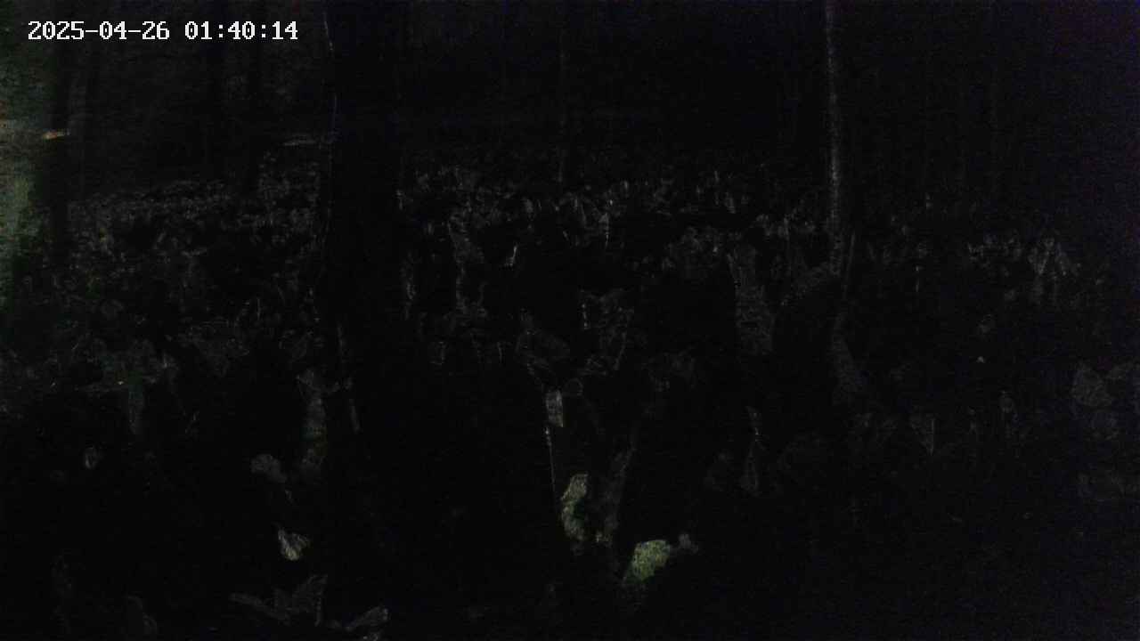 mizubasho1-20250426014015.jpg