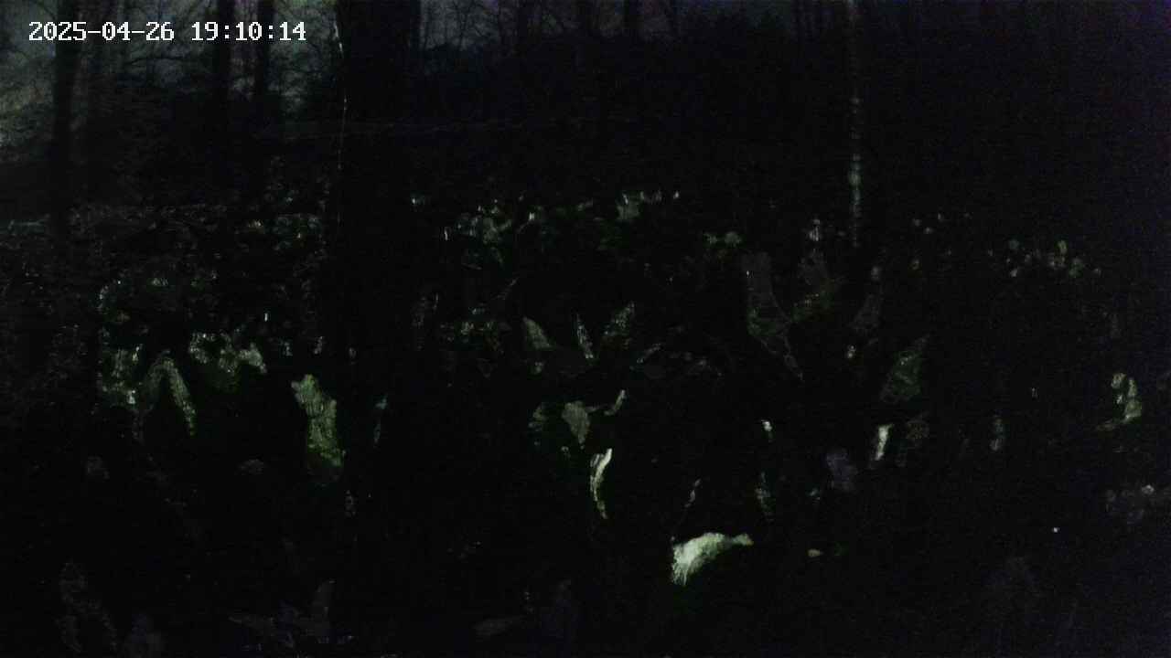 mizubasho1-20250426191015.jpg