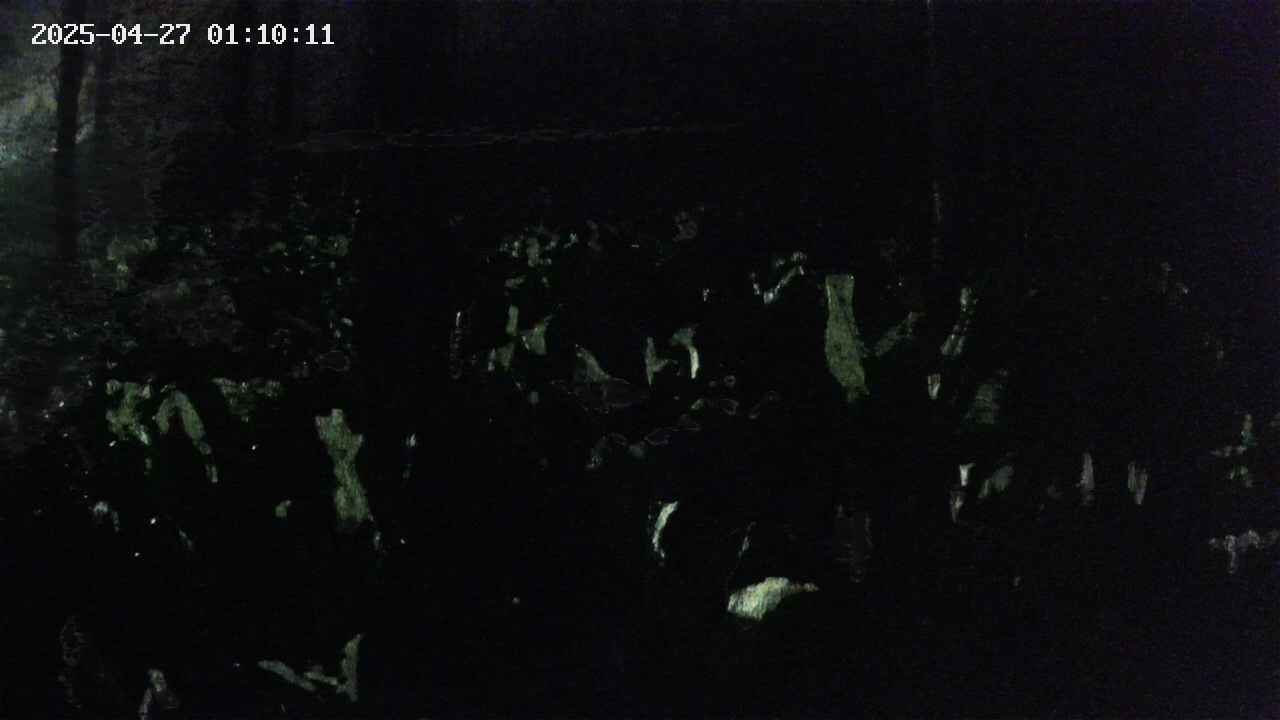 mizubasho1-20250427011013.jpg