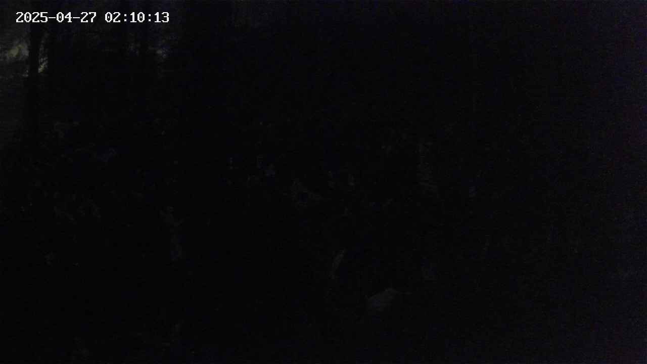 mizubasho1-20250427021015.jpg