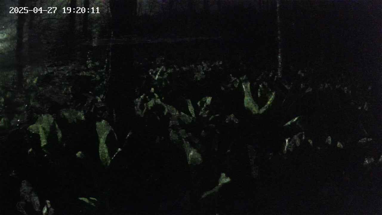 mizubasho1-20250427192012.jpg