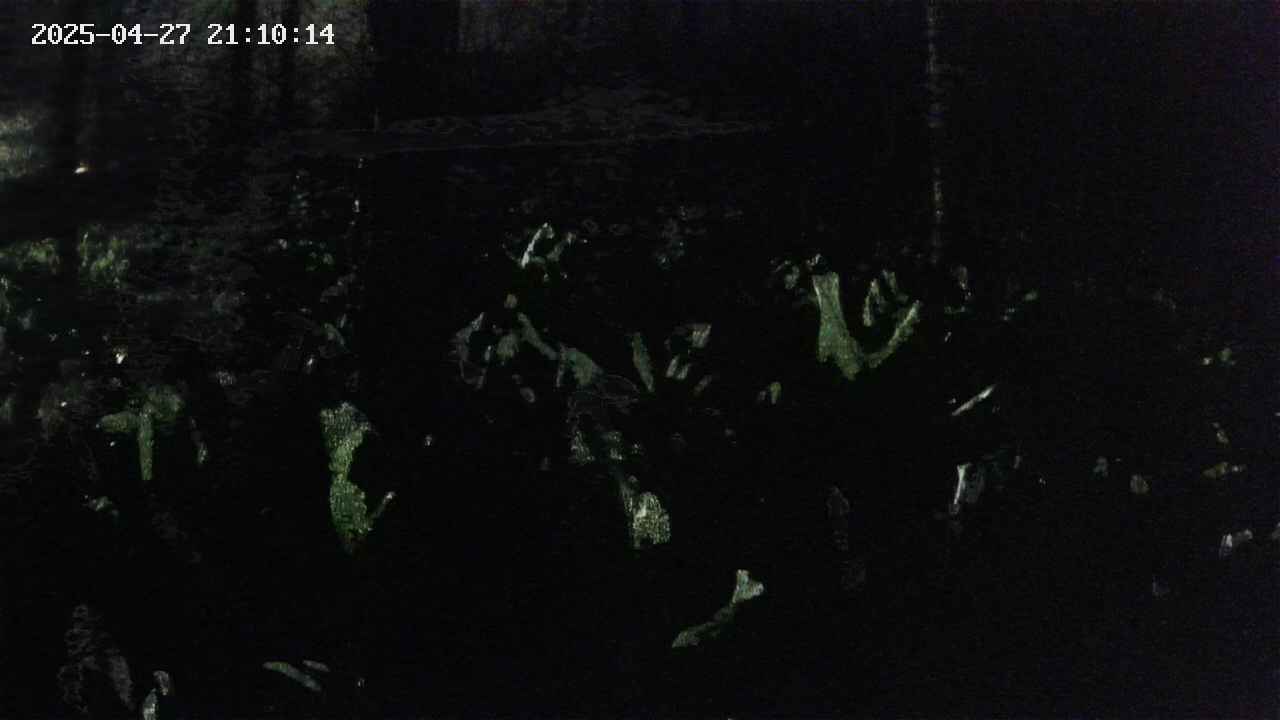 mizubasho1-20250427211015.jpg