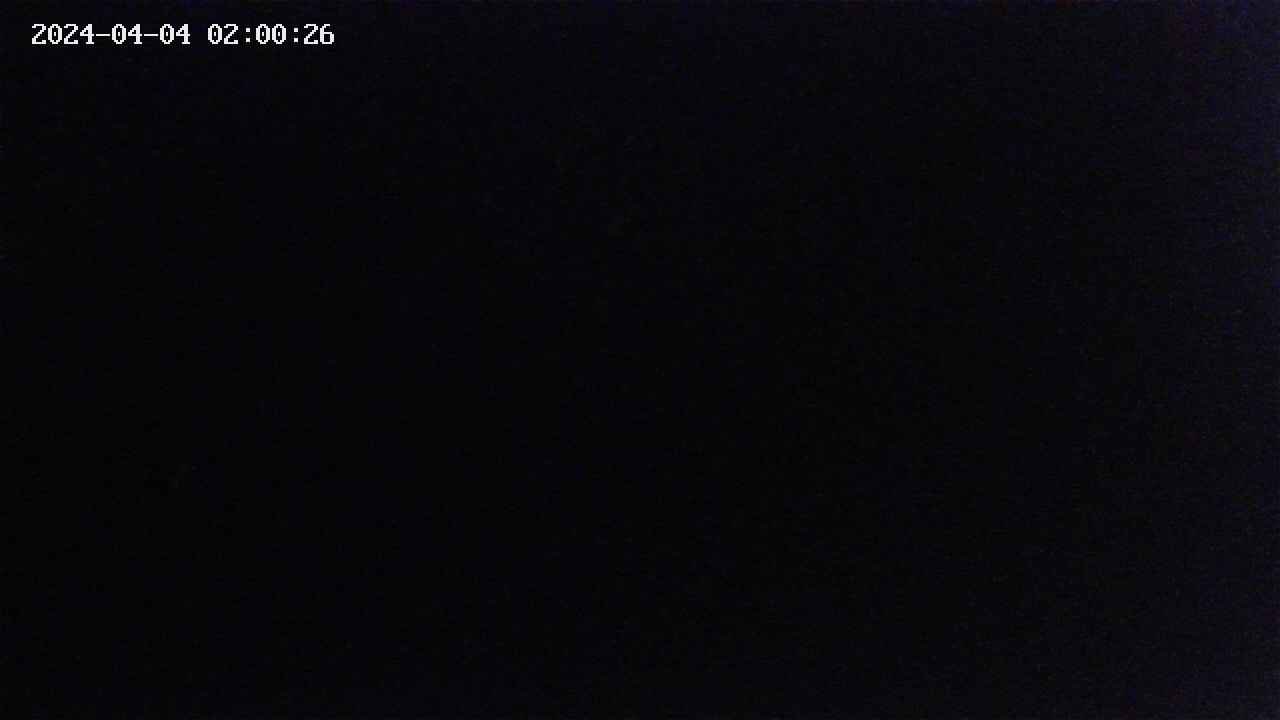 mizubasho2-20240404020028.jpg