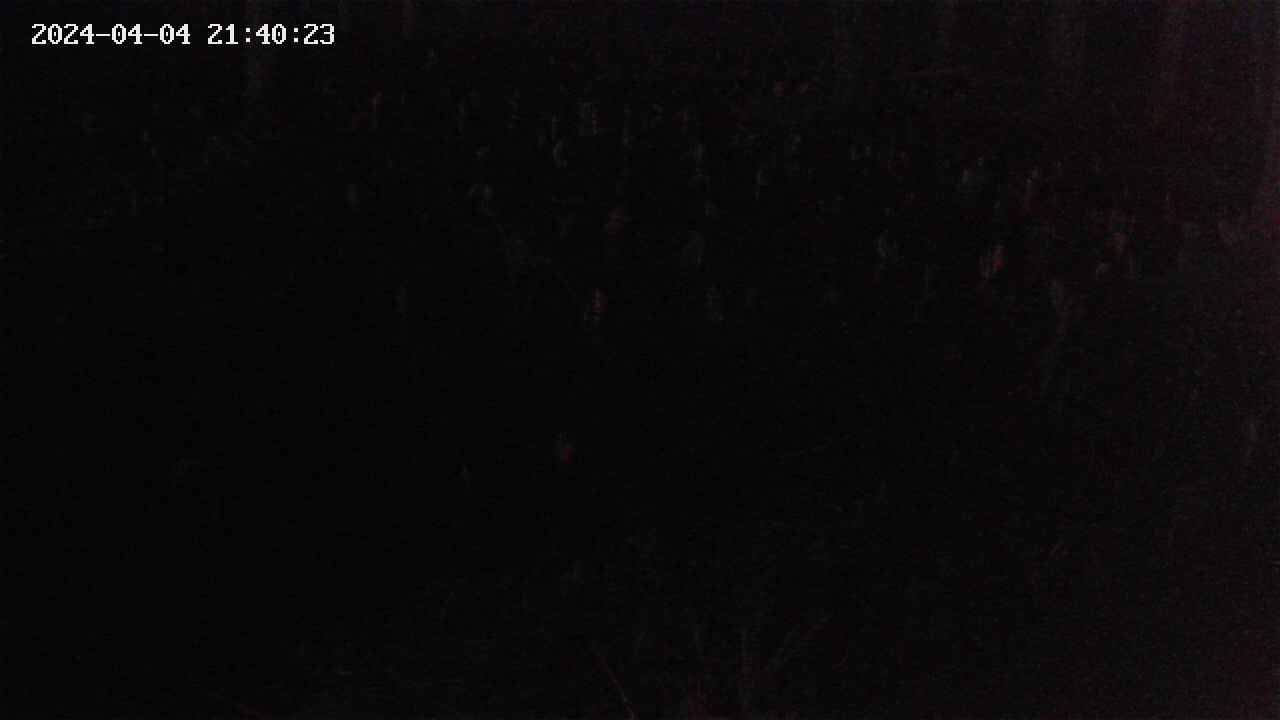 mizubasho2-20240404214025.jpg