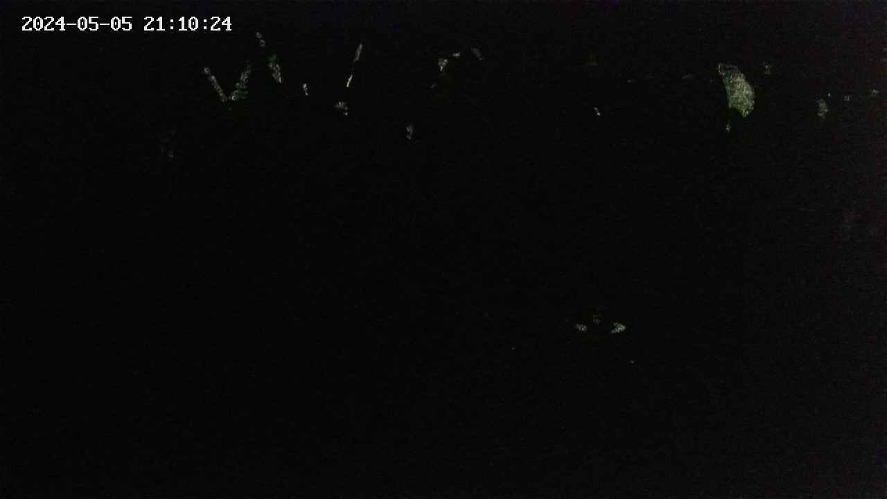 mizubasho2-20240505211026.jpg
